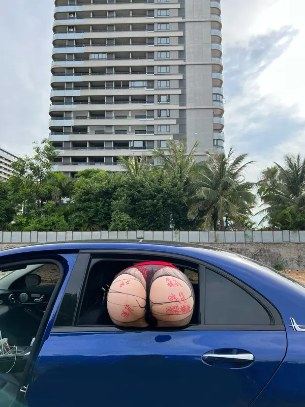 香车美臀 - 迷人的五姨太